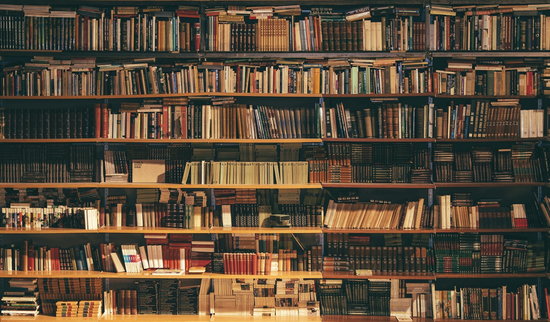 A tall wall of shelved books and bound volumes in warm light.